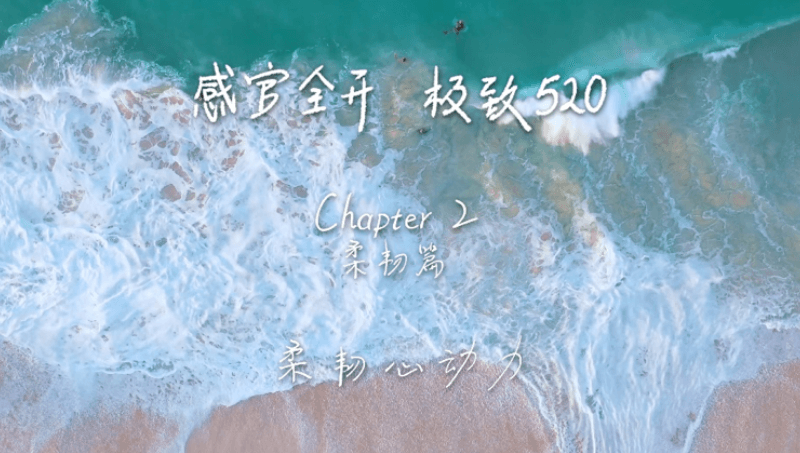 感官全开，极致520
